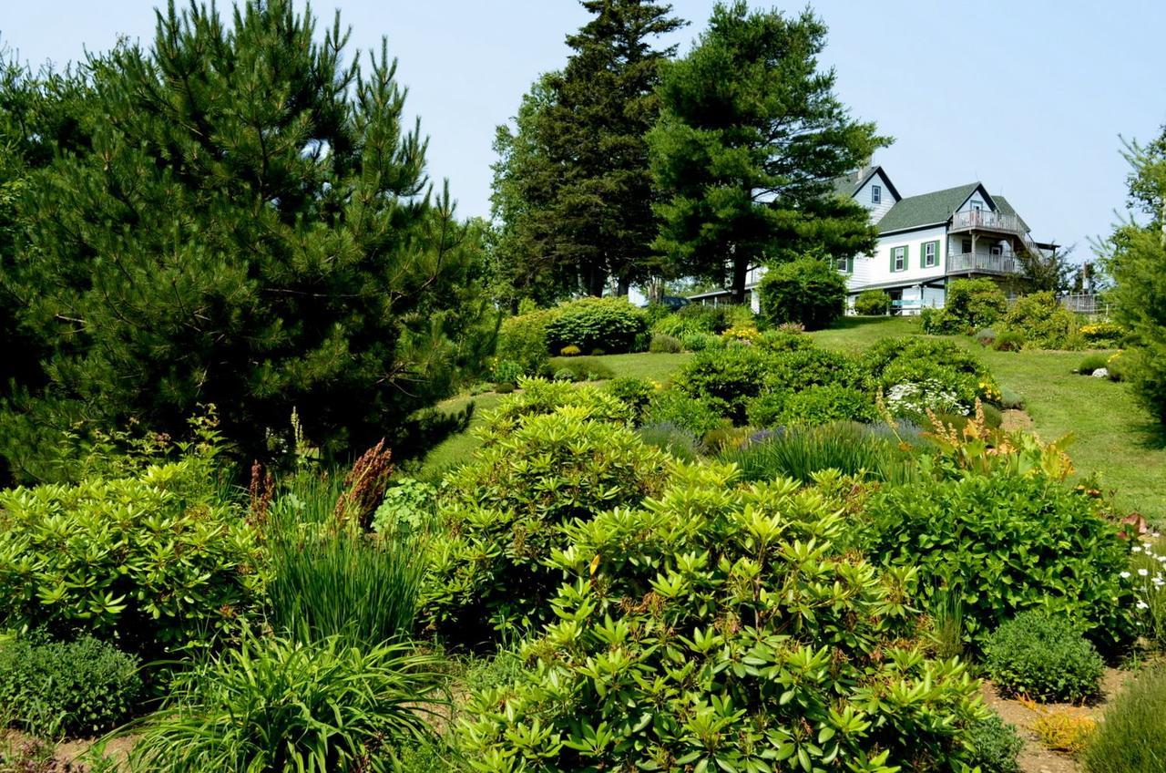 Still Point Lodge Deep Brook Exterior foto